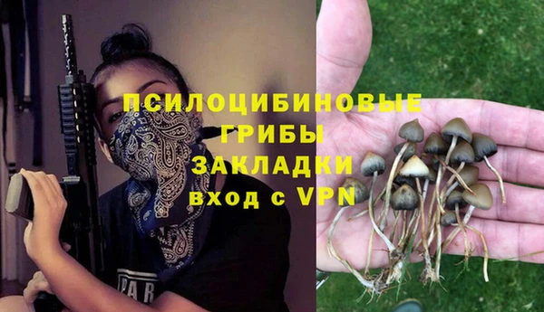 стафф Козловка
